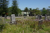 Waikumete Cemetery | A Gallery From Saturday Morning | RNZ National