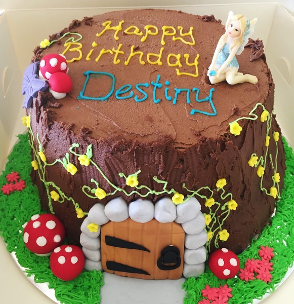 Birthday Cakes For Kids Who D Otherwise Go Without Rnz