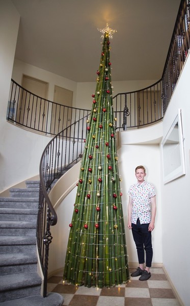 tall christmas trees