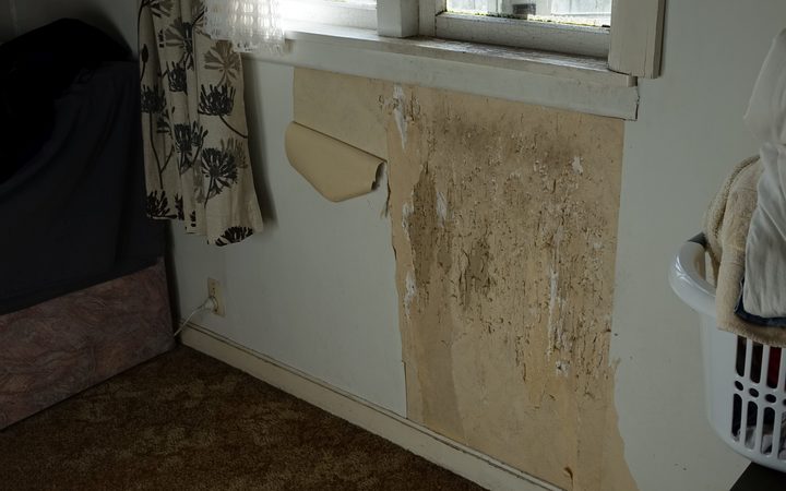 Mouldy Damp Rental Blamed For Toddler S Ill Health Rnz News