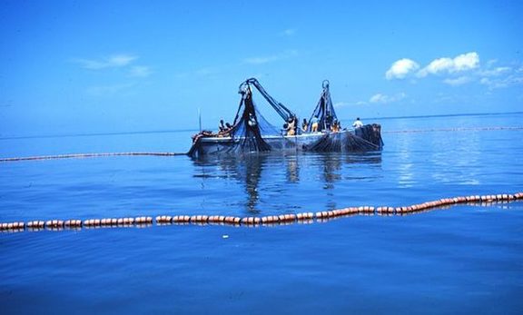 Purse Seine fishing