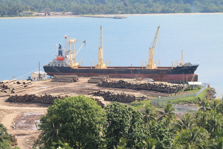 Forestry in Papua New Guinea.