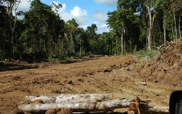 Role Of Malaysian Banks In Png Deforestation Highlighted Rnz News