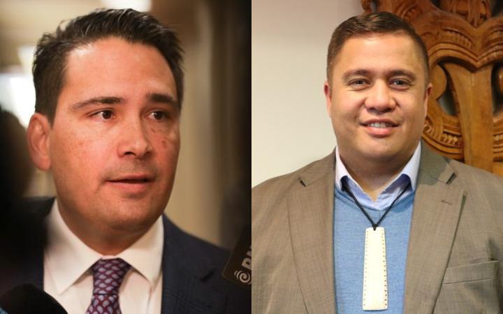 Maori Party President Wary Of National Partnership It Kicked Us Out Rnz News