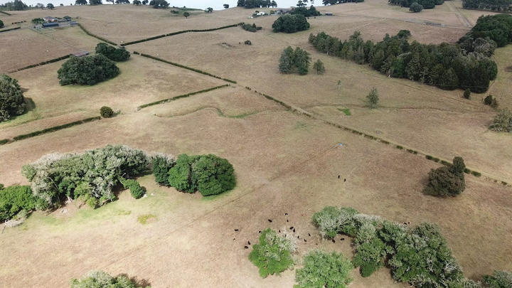 Northland drought, Kaikohe area