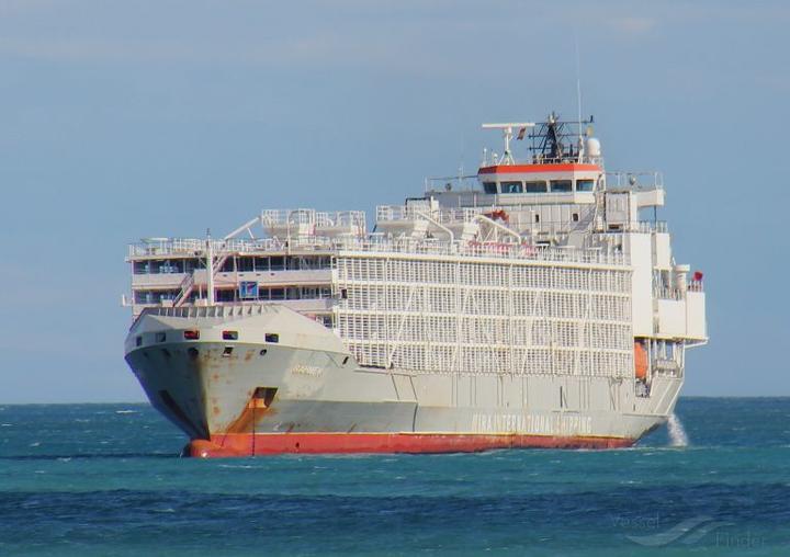 Gulf Livestock 1 vessel off the shores of Malaga in 2018.