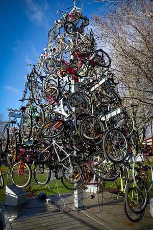 bike in the tree