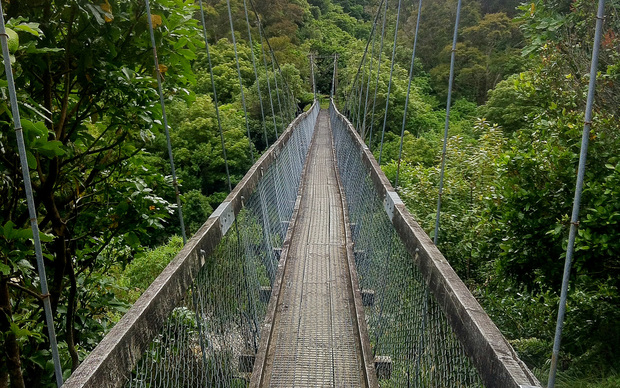 Tourists Fall 8m As Bridge Cable Fails Rnz News