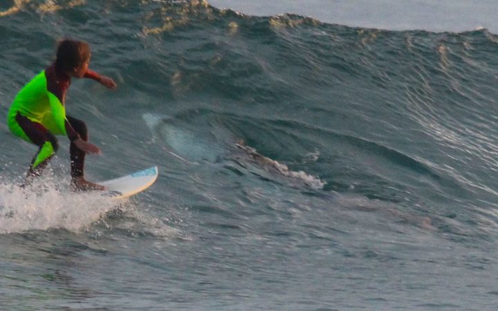 Dad Captures Jaws Dropping Pic Of Child Surfer And Shark
