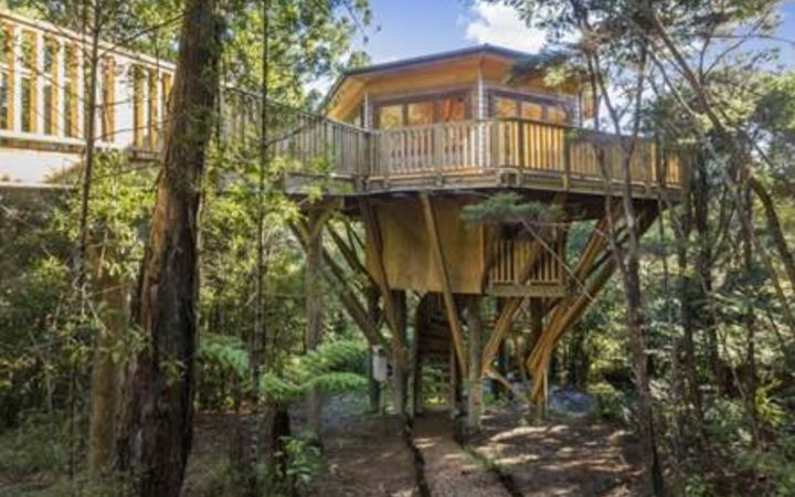 Waiheke Treehouse Owner Fined 21k For Clearing Native Bush Rnz News