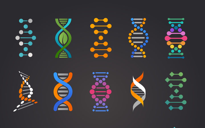 what happens to your dna after ancestrydna