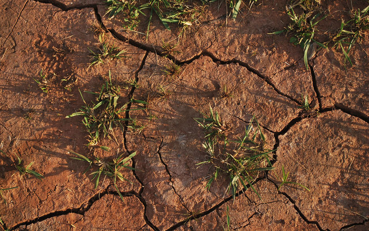 Vanuatu's southern islands in drought | RNZ News