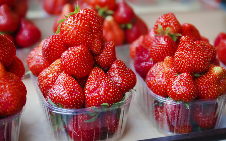 Christmas Strawberry Shortage Expected With Crops Annihilated By Poor Weather Rnz News