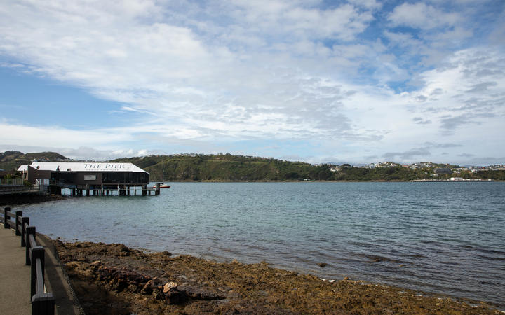 Body found in water at Evans Bay in Wellington | RNZ News