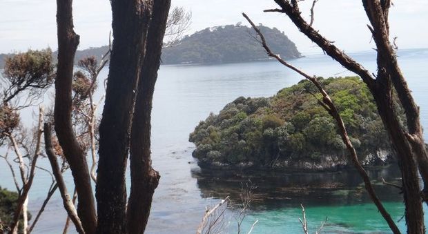 Rakiura Track