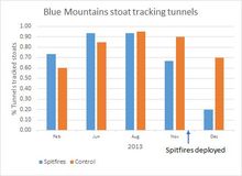 graph showing knockdown in stoat numbers following use of Spitfire trap and PAP toxin in the Blue Mountains