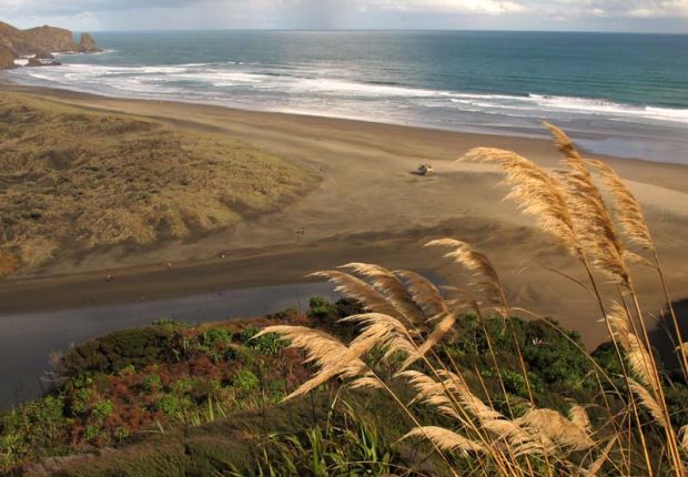 te henga walkway