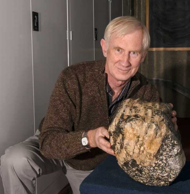 ammonite with john simes