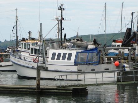 Boat in harbour