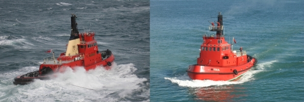 Wellington tugs Ngahue and Toia