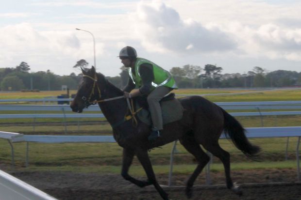 Early morning exercise