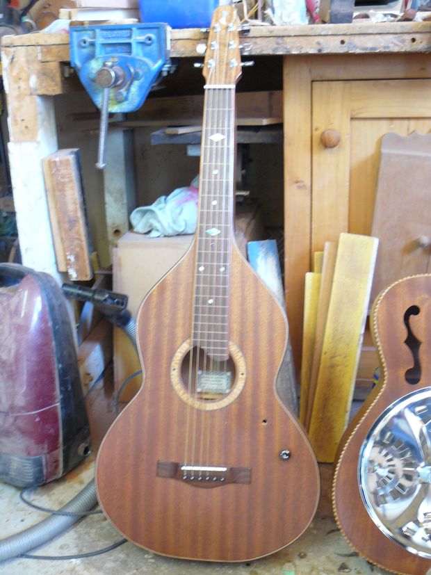 cozart 12 string acoustic