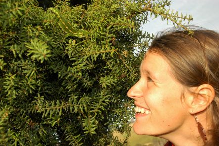 Zoologist Rosie Muller with a jewelled gecko