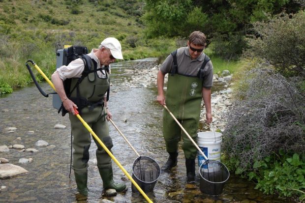 Graeme Hughes and Jayde Couper electro fishing a stream in the Waitaki Valley Photo RNZ Ian Telfer