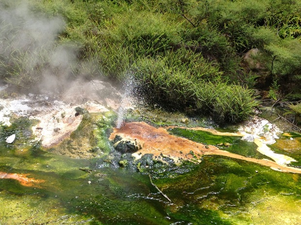 Spaceward Bound Rotorua slimescape by Steve Pointing