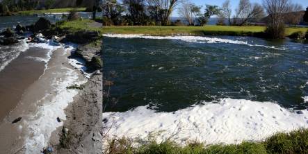 Foam forms in the Ohau Channel of Lake Rotorua as the algal bloom collapses