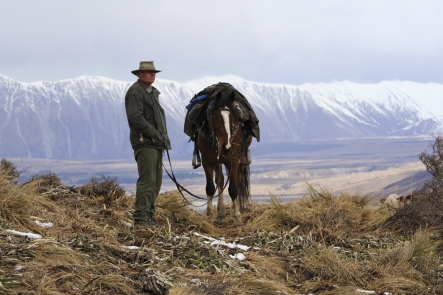 NZ Horse back cover (c) Annie Studholme.