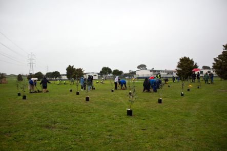 First Freedom Fruit Gardens planting