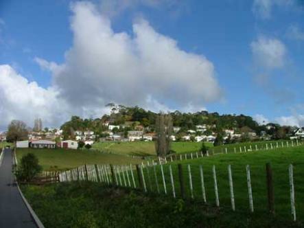 Mt Albert Grammar School s farm is just ten minutes from downtown Auckland