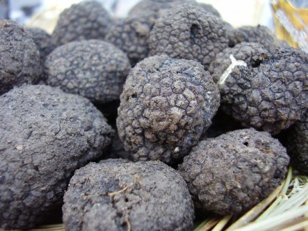 Truffles