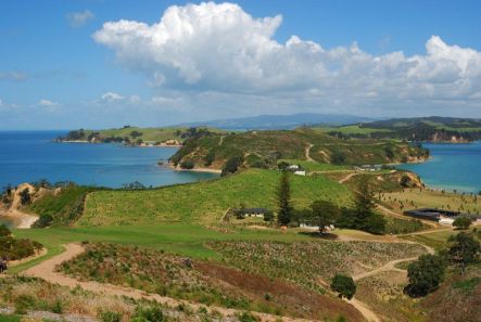 Rotoroa January Rotoroa island today small