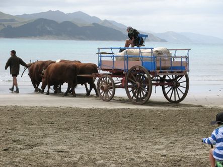 Wairarapa threex