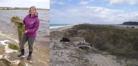 Emily Funnell holding Ruppia, and the coastal bar separating the lagoon from the sea