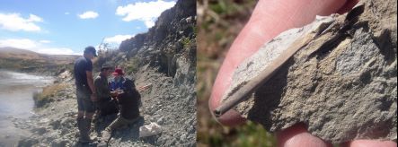 Palaeontologists excavating fossils such as this bird bone