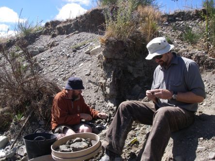 Putting fossil-containing material into sieves ready for washing