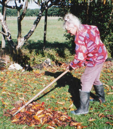 IMG Jewel scraping leaves