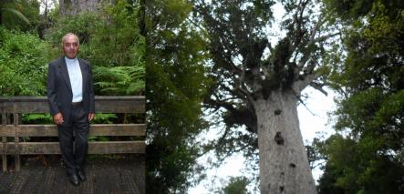 Reverend Daniel Ambler Waipoua forest April