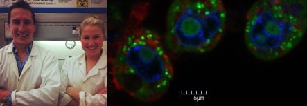 Enzymes and Cancer pano