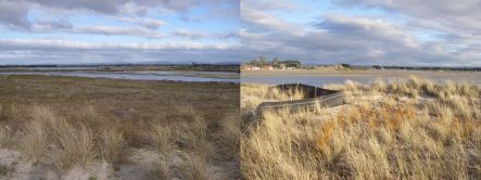 Views of Maketu Spit and the trapping fence\