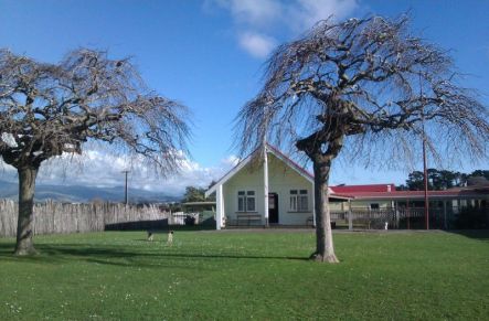 Kawiu Marae Levin