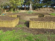 Raised Vege garden 