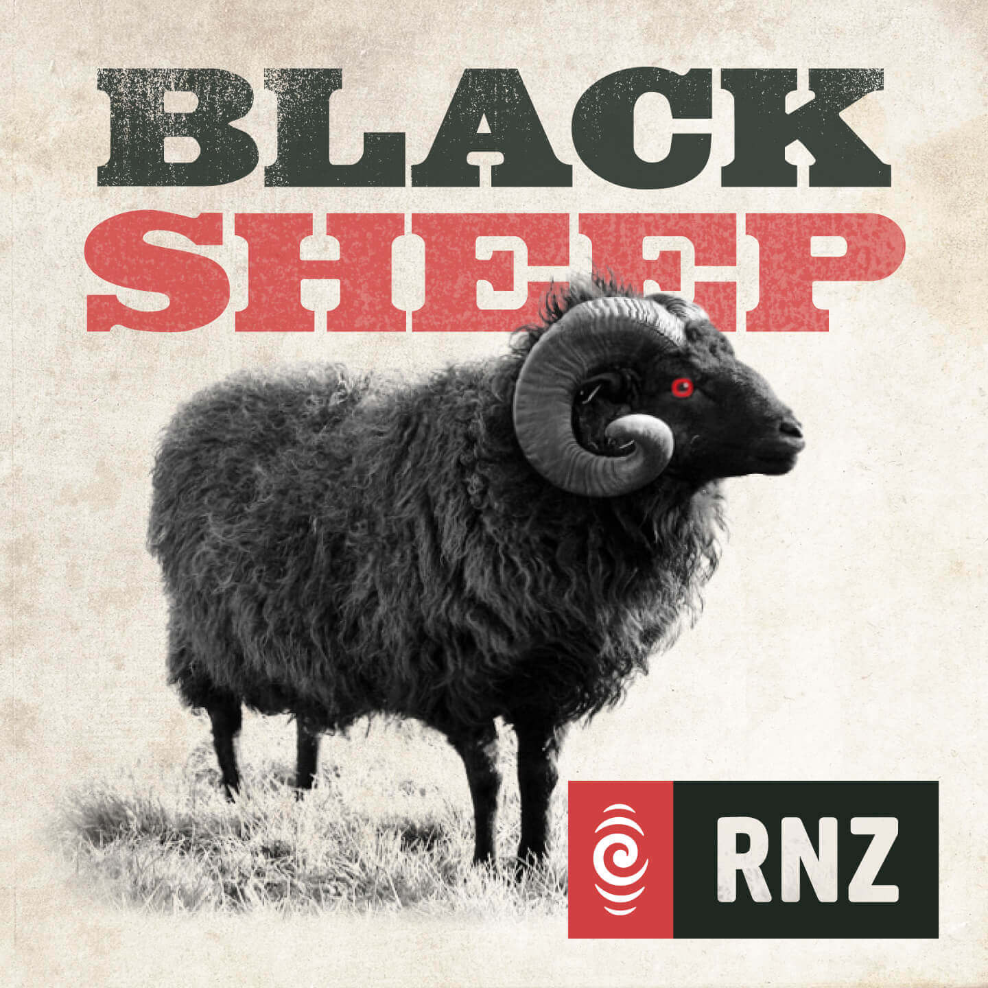 Black Sheep